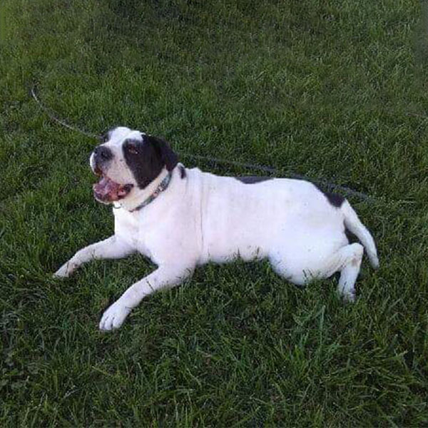 Clowie - One Dane at a Time Clowie - One Dane at a Time