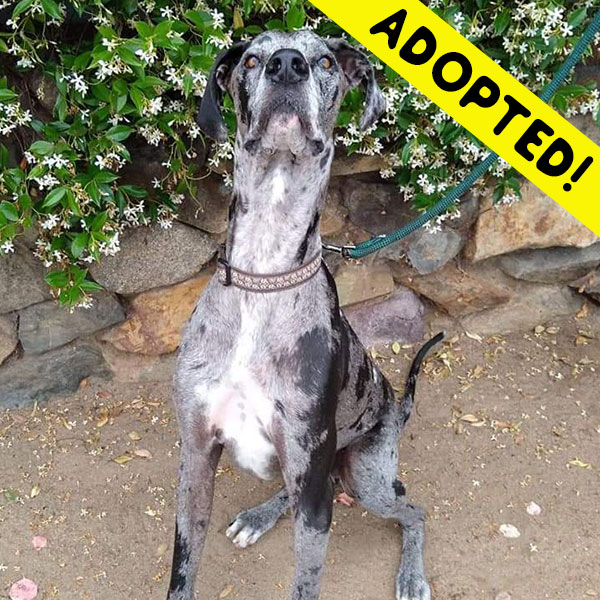 Bill - One Dane at a Time Bill - One Dane at a Time