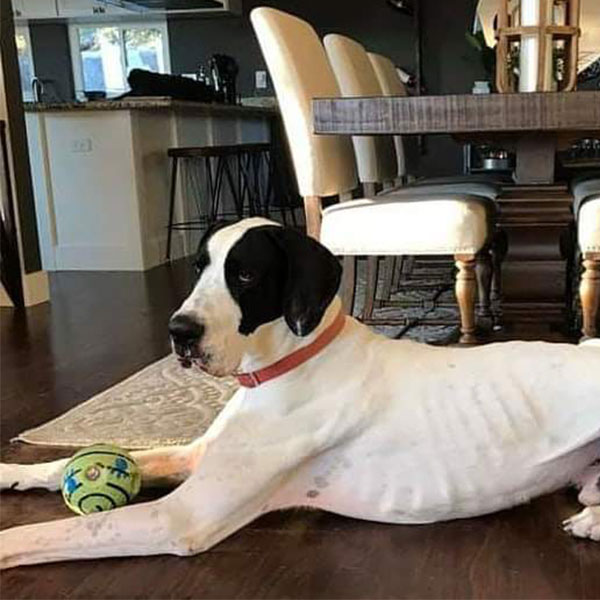 Gunny - One Dane at a Time Gunny - One Dane at a Time