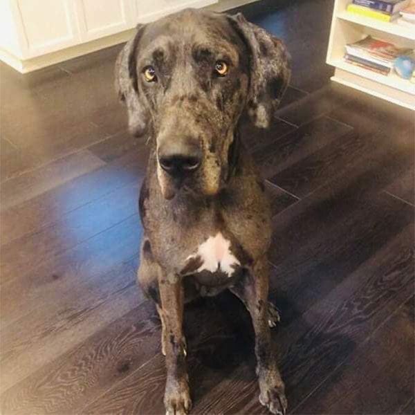 Minnie - One Dane at a Time Minnie - One Dane at a Time